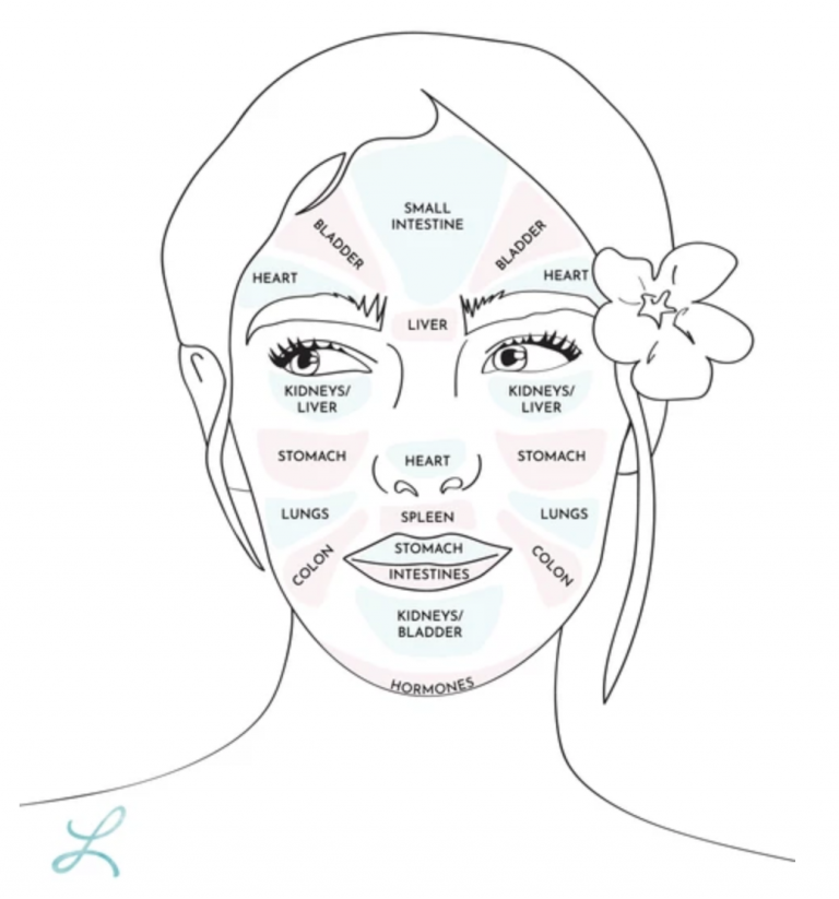 Benefits Of Face Mapping How To Become An Esthetician   Facial Mapping 768x823 